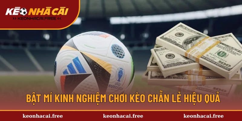 Cẩm nang chơi kèo cược chẵn lẻ trong bóng đá