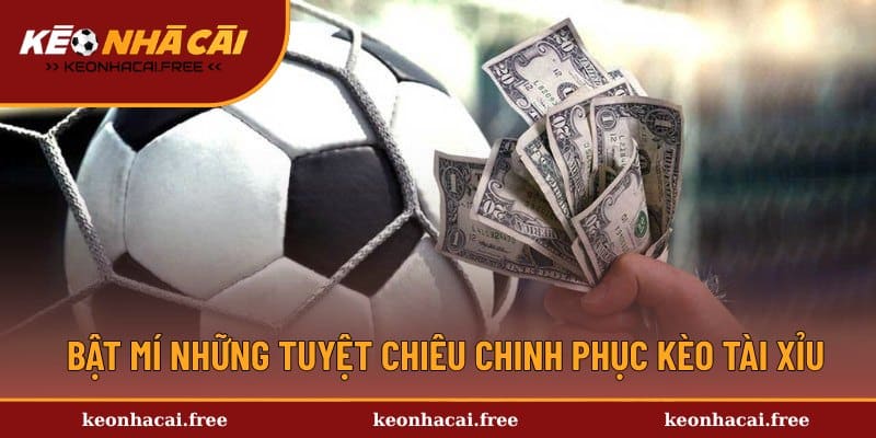 Cẩm nang cá cược Tài Xỉu bóng đá từ cao thủ