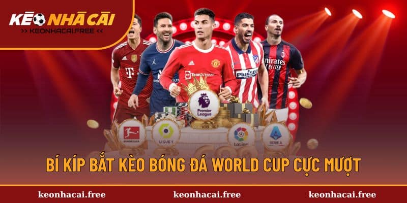 Kinh nghiệm cược kèo bóng đá World Cup cho bet thủ