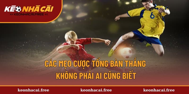Tổng hợp các tuyệt chiêu cá cược kèo hiệu quả