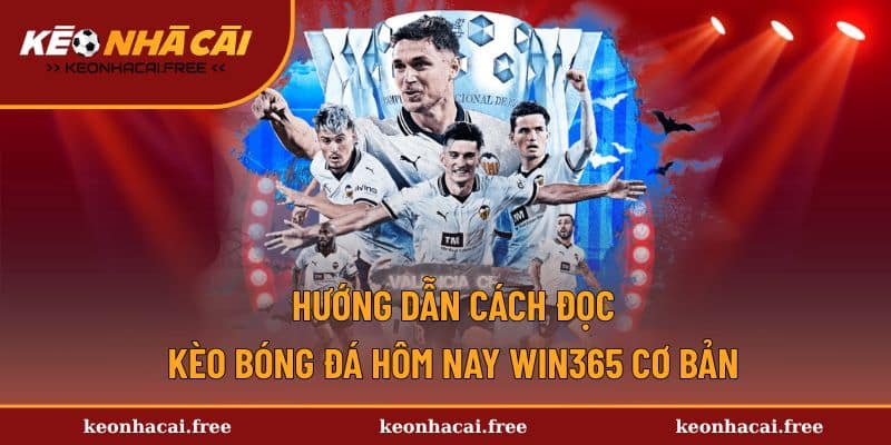 Quy tắc đọc kèo bóng đá hôm nay win365