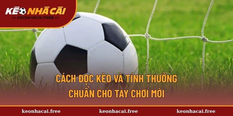 Cách đọc kèo và tính thưởng chuẩn cho tay chơi mới