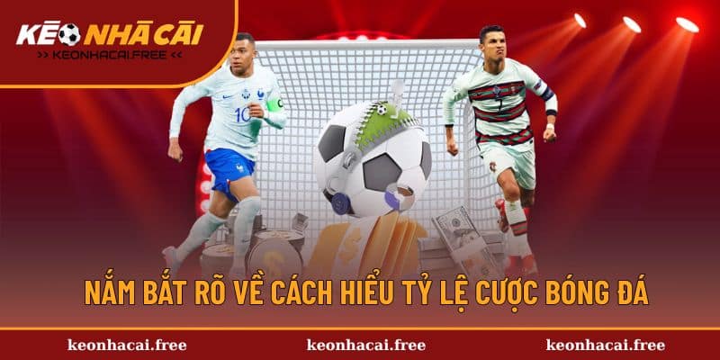 Kiến thức cơ bản về tỷ lệ cược bóng đá