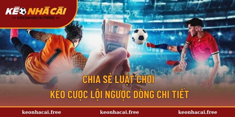 Hướng dẫn quy tắc cược lôi ngược dòng