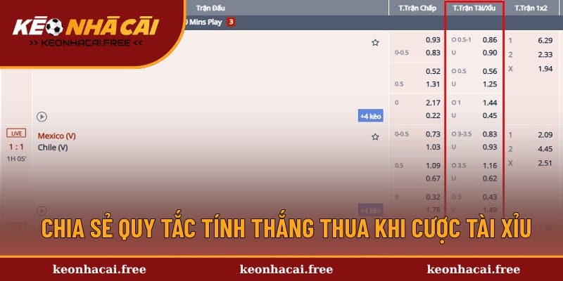 Bật mí cách đọc các kèo Over/Under hay gặp