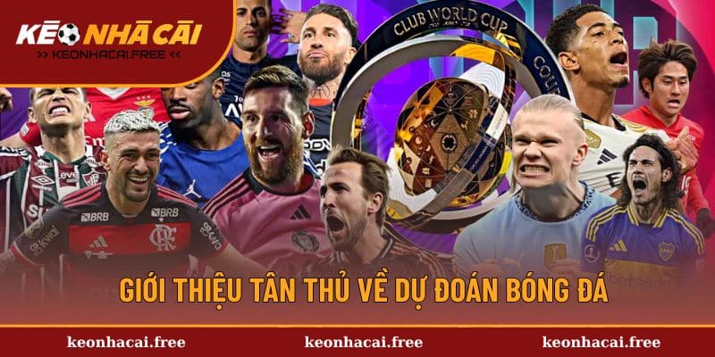 Giới thiệu tân thủ về chuyên mục dự đoán bóng đá