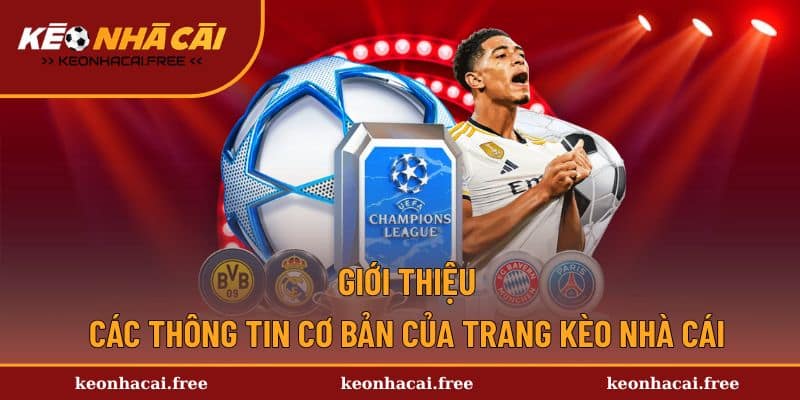 Giới thiệu các nội dung cơ bản về chuyên trang Kèo Nhà Cái