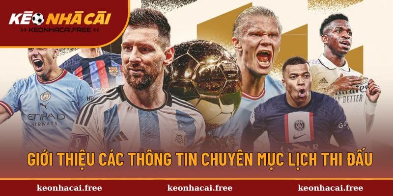 Các thông tin được hiển thị trong lịch thi đấu