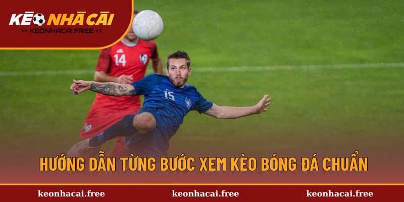 Hướng dẫn từng bước xem kèo bóng đá chuẩn 