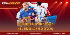 Kèo Bóng Đá Hôm Nay Win365 - Hiểu Thông Số Khi Chơi Cá Độ