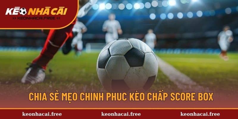 Chia sẻ mẹo chinh phục kèo chấp tài xỉu thắng đậm