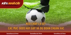 Kèo Chấp Là Gì? Các Mức Odds Hay Gặp Và Dự Đoán Chuẩn Xác