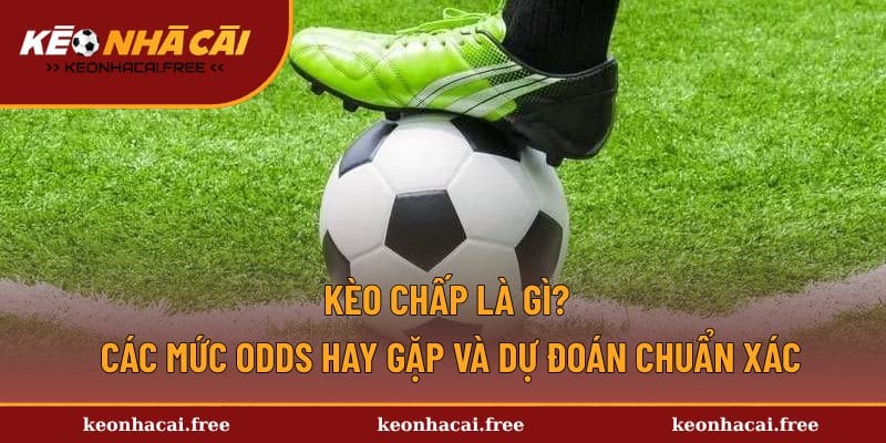 Kèo Chấp Là Gì? Các Mức Odds Hay Gặp Và Dự Đoán Chuẩn Xác