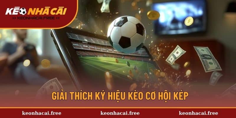 Nắm bắt các ký hiệu quan trọng để lựa chọn đúng đắn