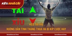 Kèo Tài Xỉu