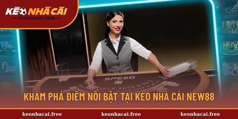 Khám phá điểm nổi bật tại kèo nhà cái New88