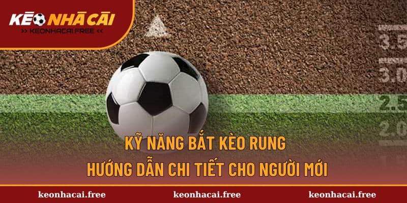 Kỹ Năng Bắt Kèo Rung - Làm Sao Để Chơi Cược Chuẩn Chỉ Nhất?