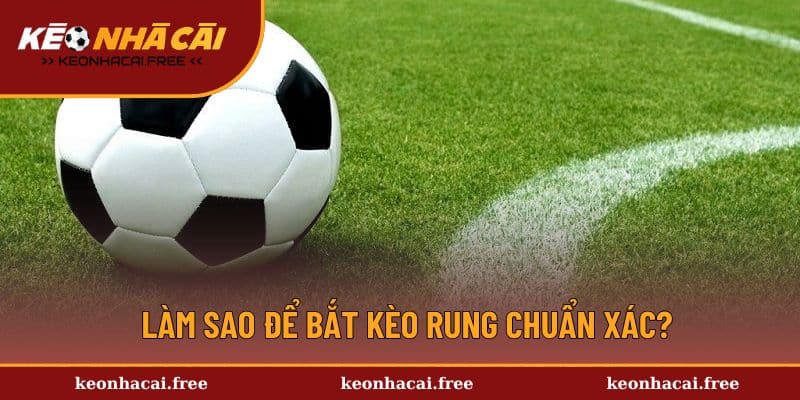 Làm sao để bắt kèo rung chuẩn xác?