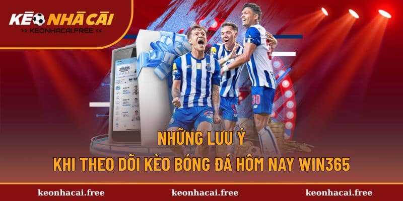 Điểm cược thủ cần lưu ý khi xem kèo win365