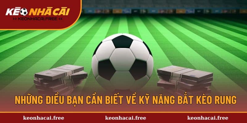 Các kỹ năng bắt kèo rung cần thiết