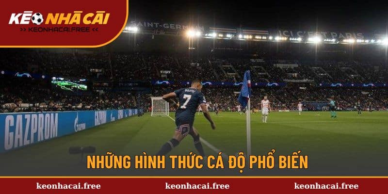 Những hình thức cá độ phổ biến