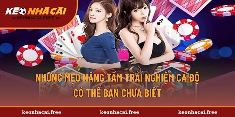 Những mẹo nâng tầm trải nghiệm cá độ có thể bạn chưa biết