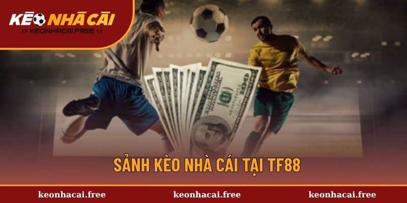 Sảnh kèo cược tại nhà cái FB88