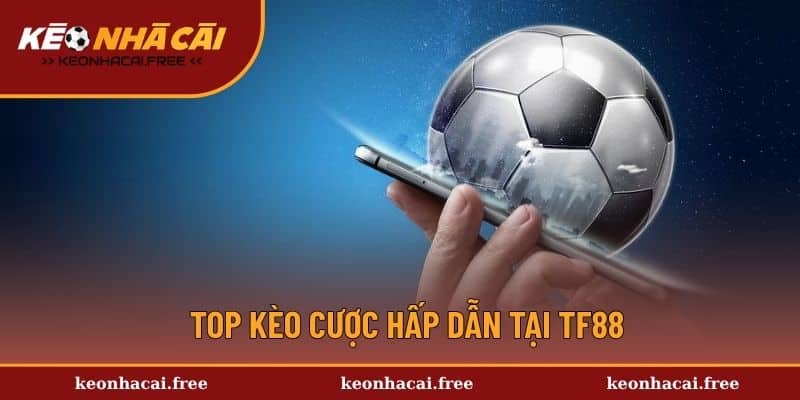 Tổng hợp các hình thức cược phổ biến hấp dẫn