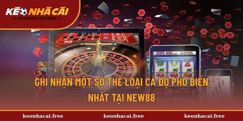 Ghi nhận một số kèo nhà cái phổ biến nhất tại New88