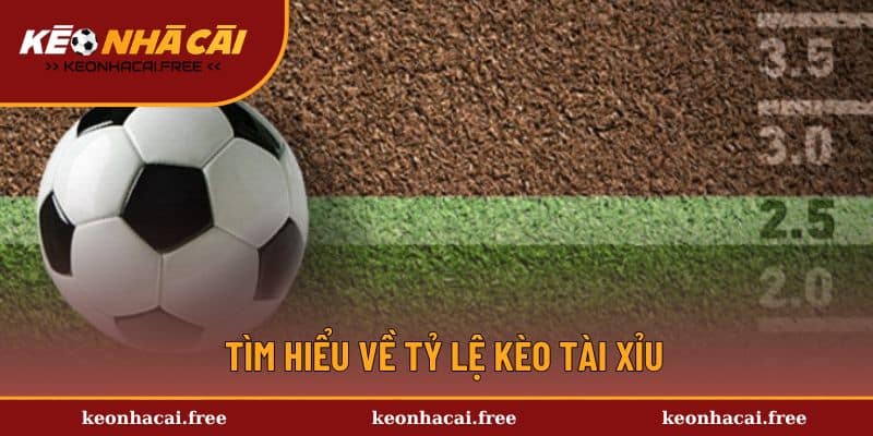 Tìm hiểu về tỷ lệ kèo tài xỉu