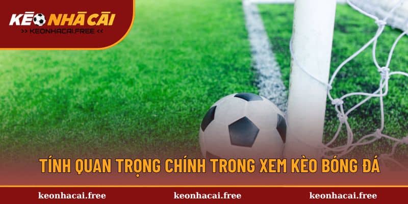 Hiểu về tính quan trọng chính trong xem kèo bóng đá