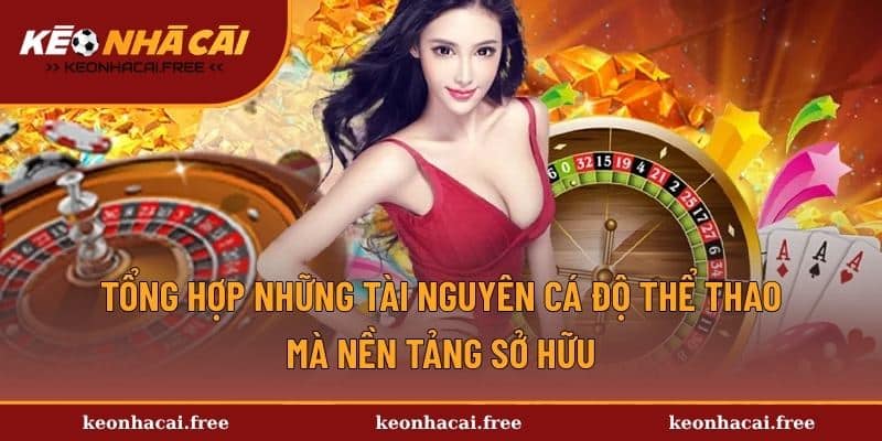Tổng hợp những tài nguyên cá độ thể thao mà nền tảng sở hữu