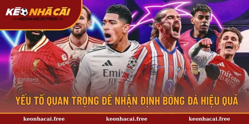 Yếu tố quan trọng để nhận định bóng đá hiệu quả